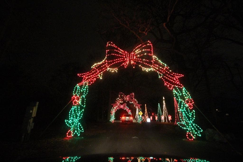 Goodwin Park