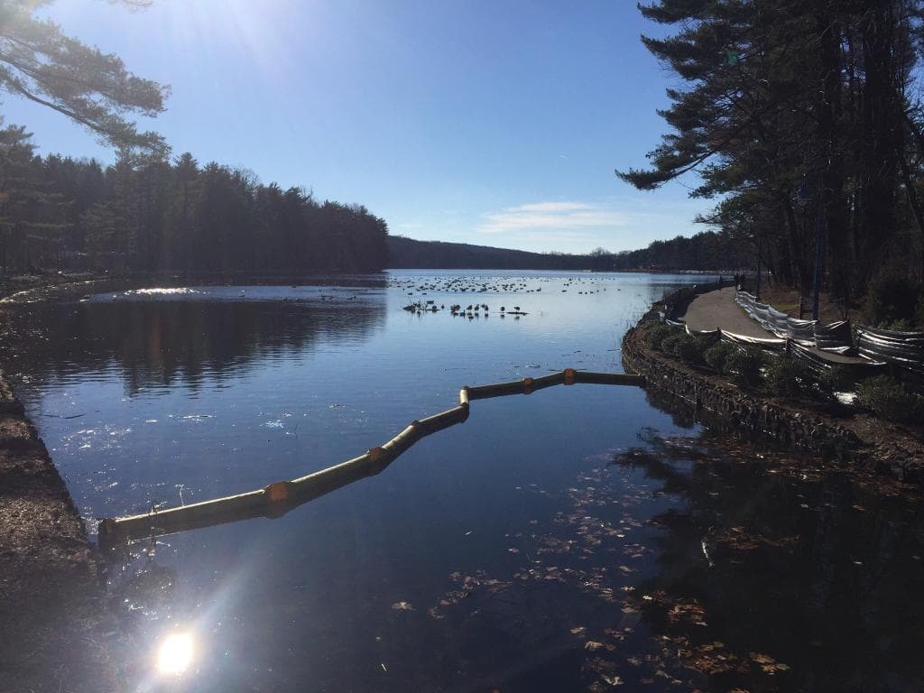 South Mountain Reservation New Jersey
