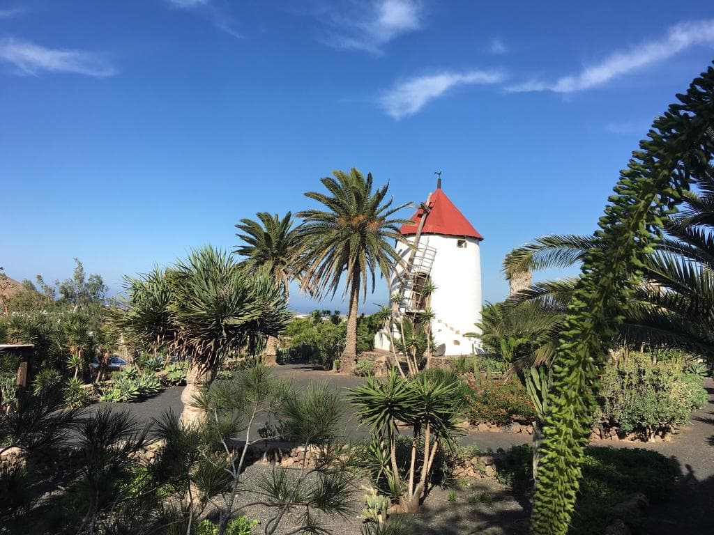 Museo Agrícola El Patio