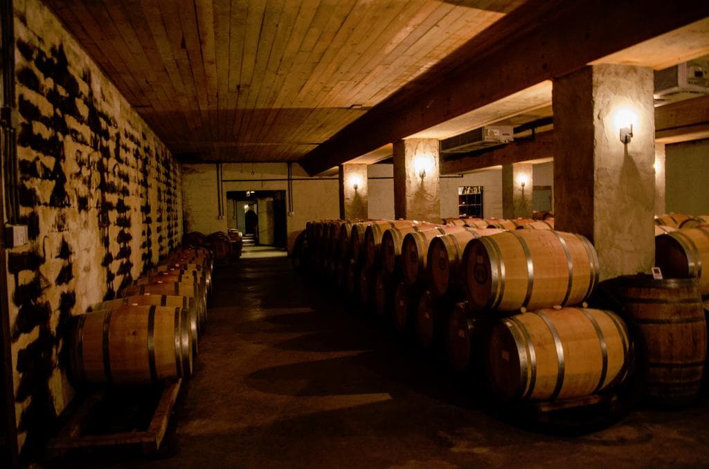 Cellar