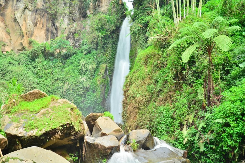 the waterfall
