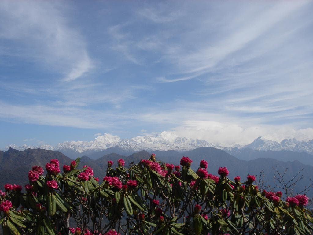 SANDAKPHU