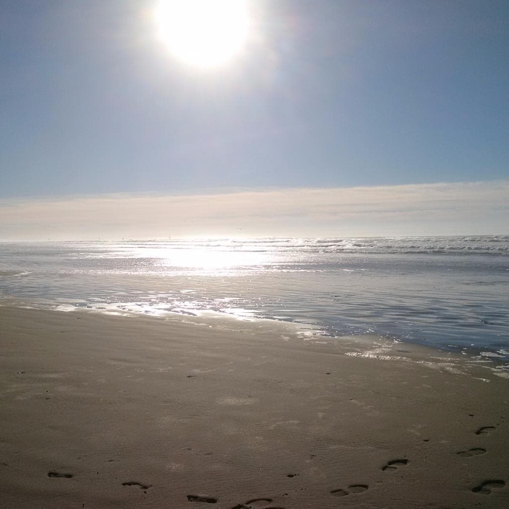 Samoa Dunes Recreation Area