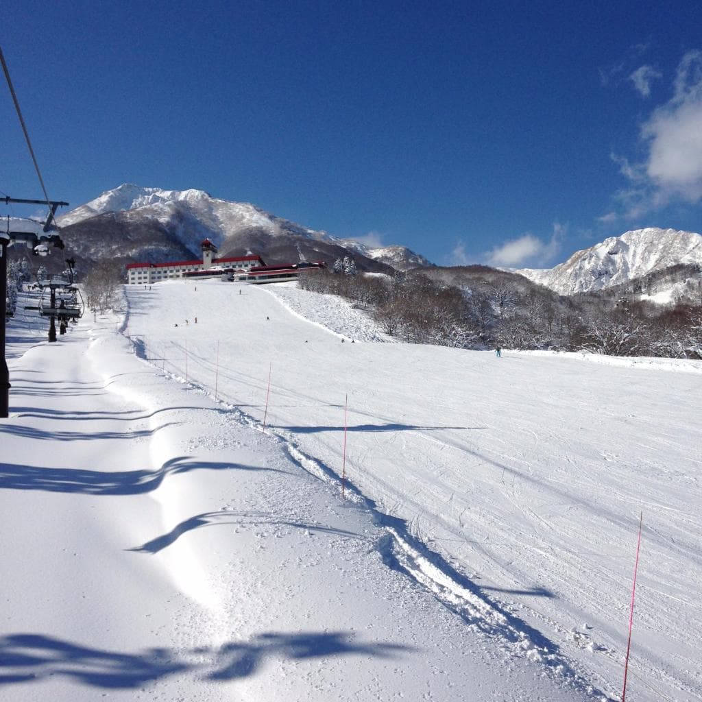 Blue bird days are next level.