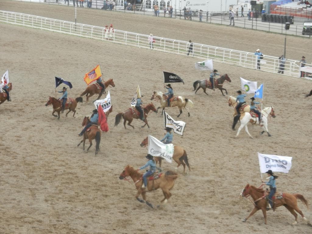 Immagini dal Rodeo