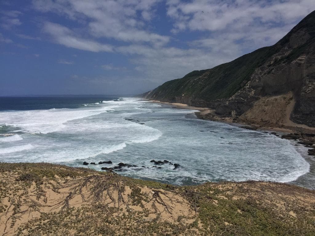 Gericke's Point