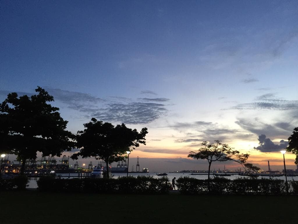 West Coast Park