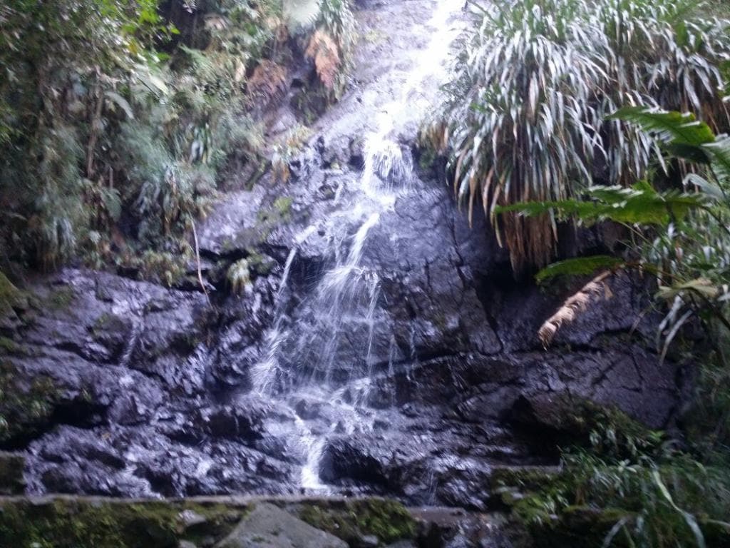 Biotopo del Quetzal