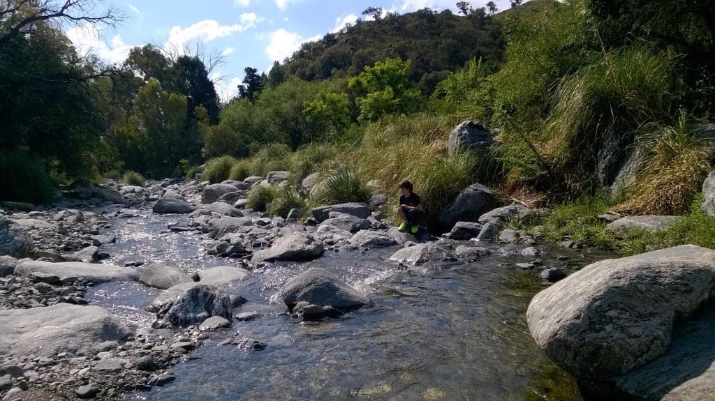Arroyo