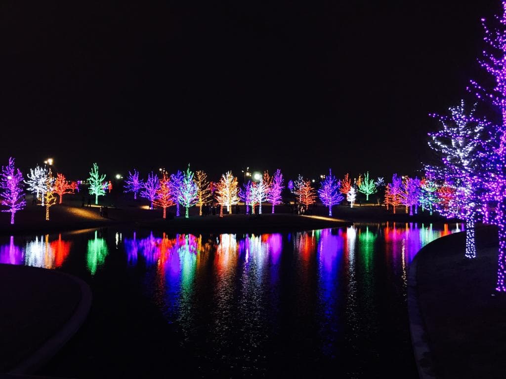 Vitruvian Park