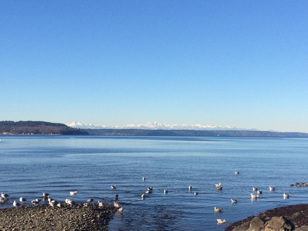 Saltwater State Park