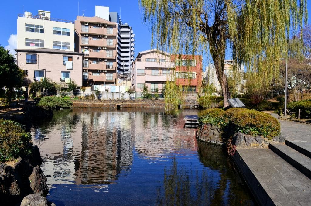 菰池公園