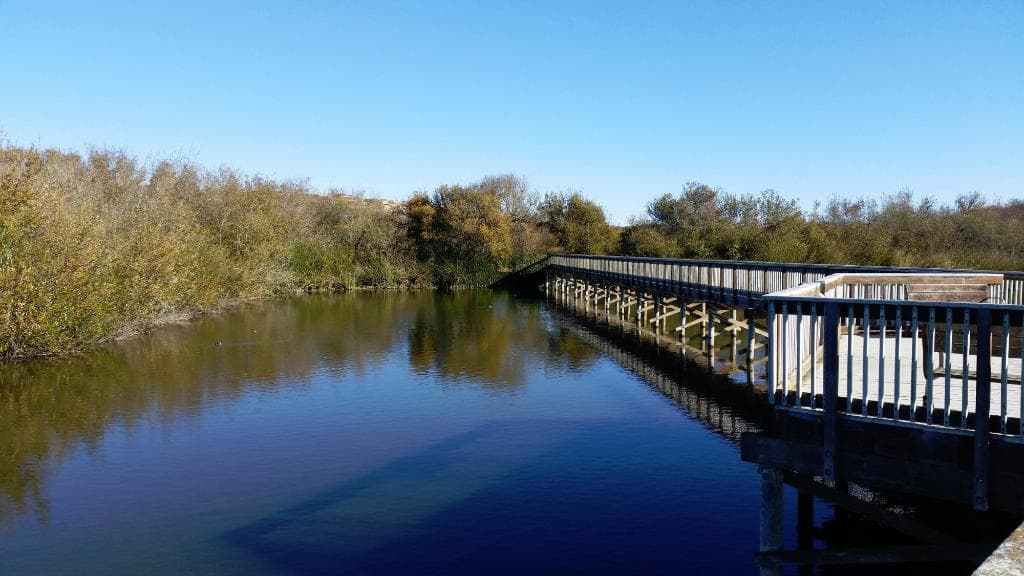 Boardwalk over the lake
