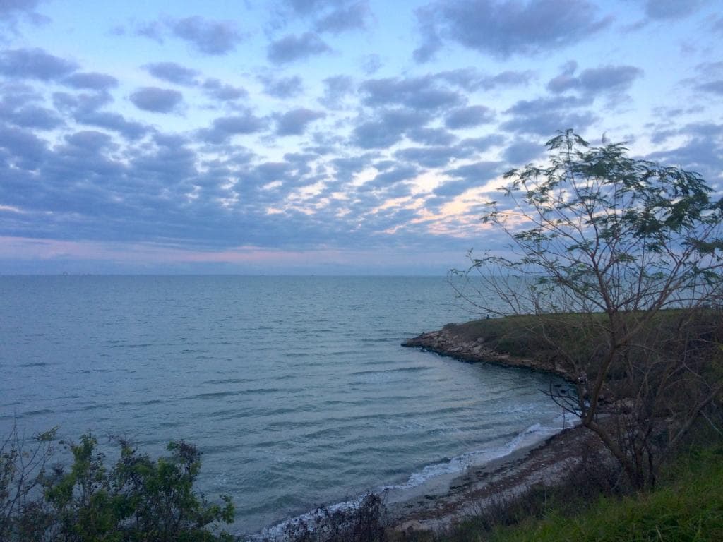 View from Cole Park