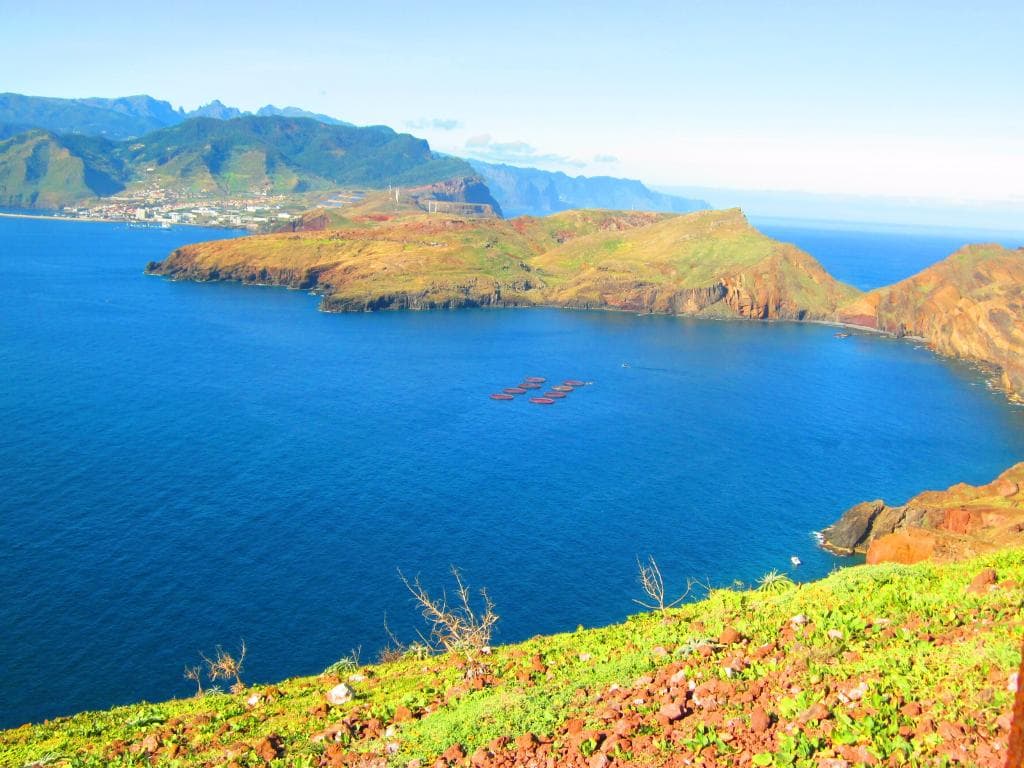 Ponta de São Lourenço