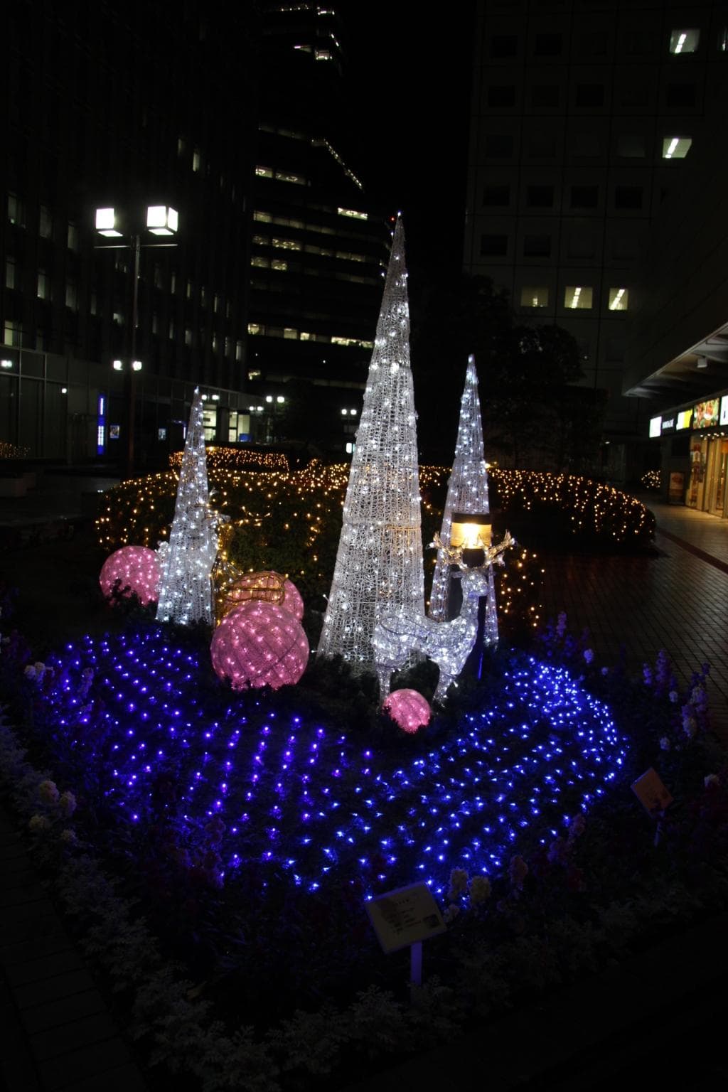 広場のイルミネーション