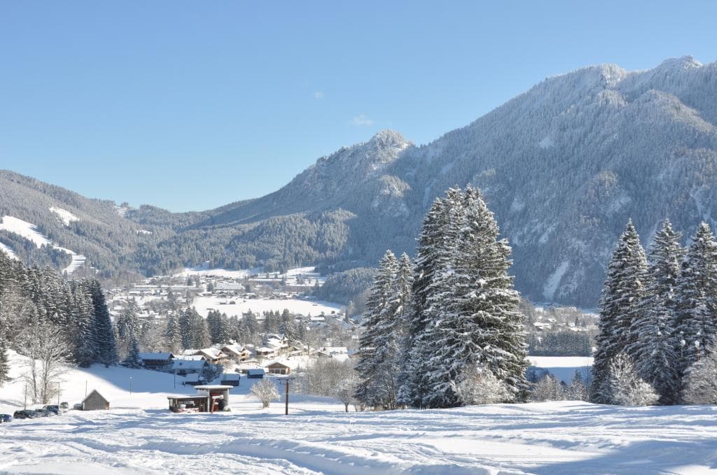 Kolbensattel Alpine Coaster
