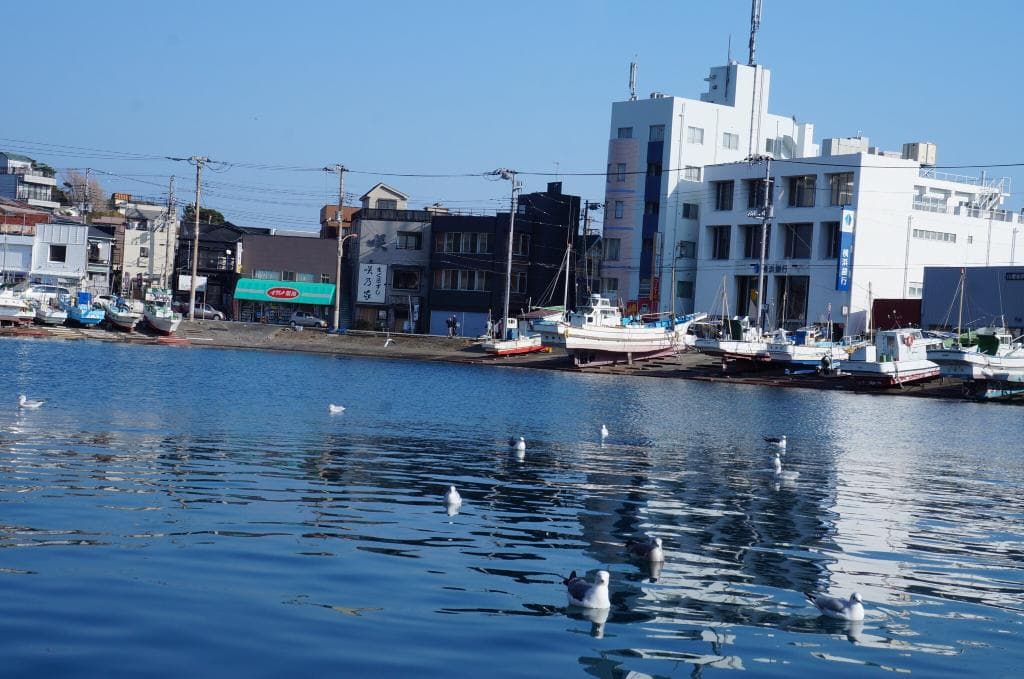 Misaki Port