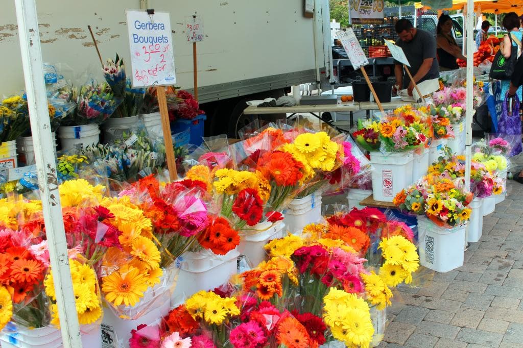 Flowers