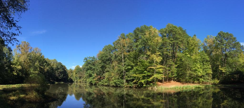 Beautiful views!