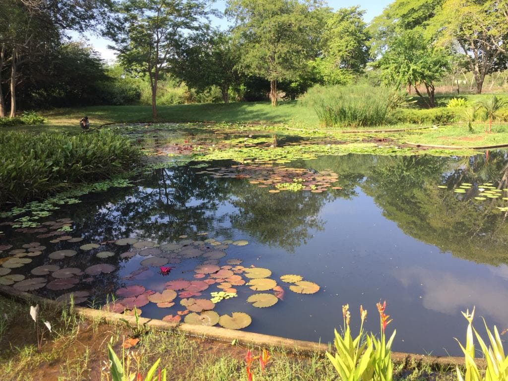 Jardín Botánico Maracaibo