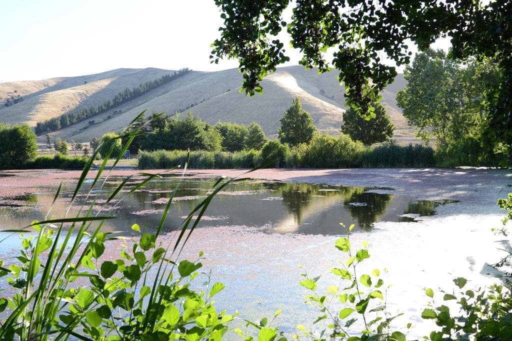 Taylors Dam