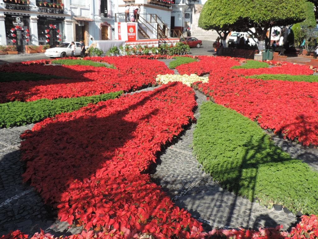 jardin