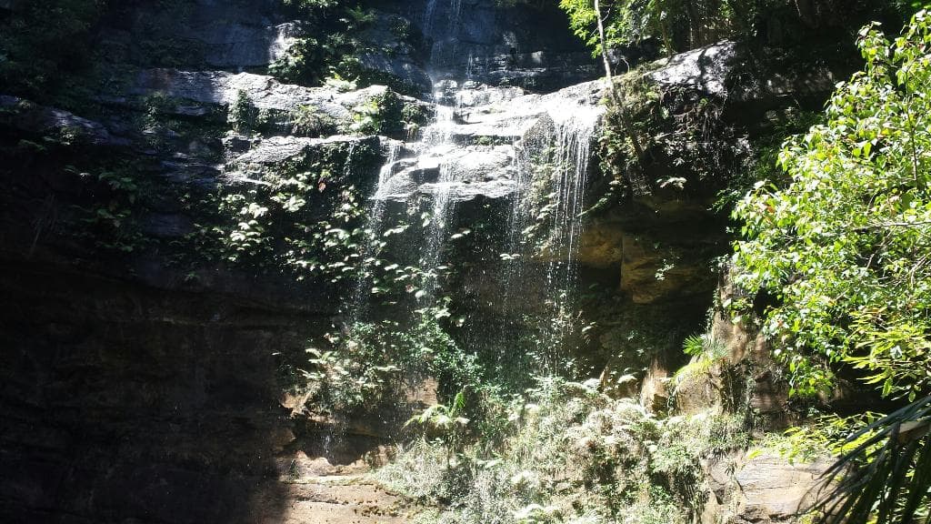 Watagans National Park Gap Creek Monkey Face