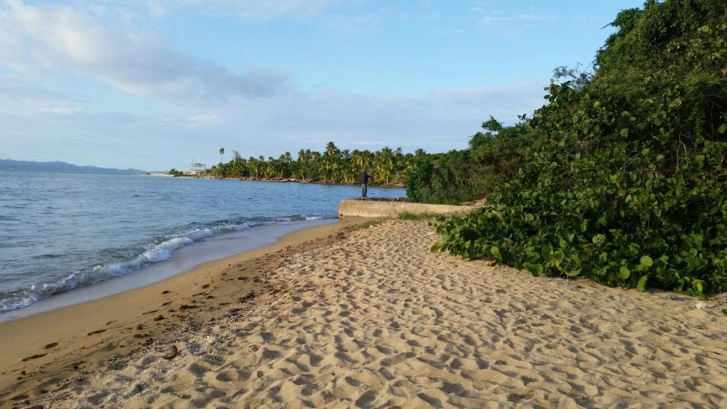 Vieques National Wildlife Refuge Puerto Rico