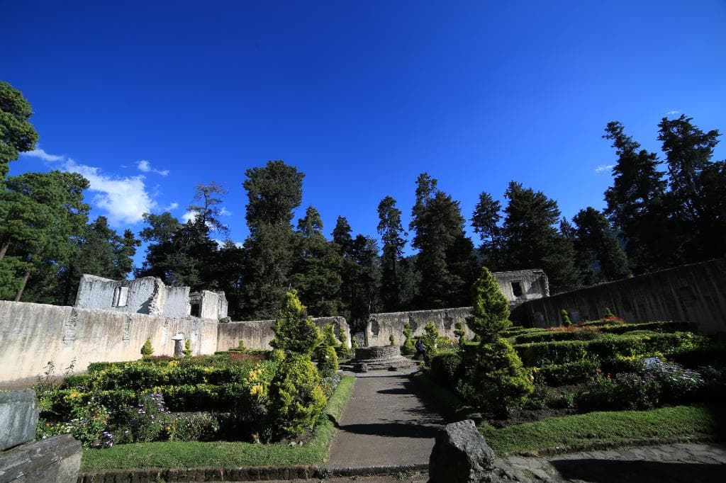 main back garden