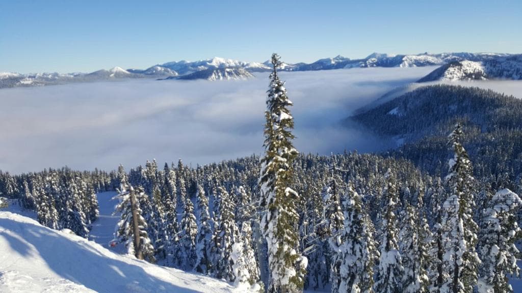 White Pass Ski Area