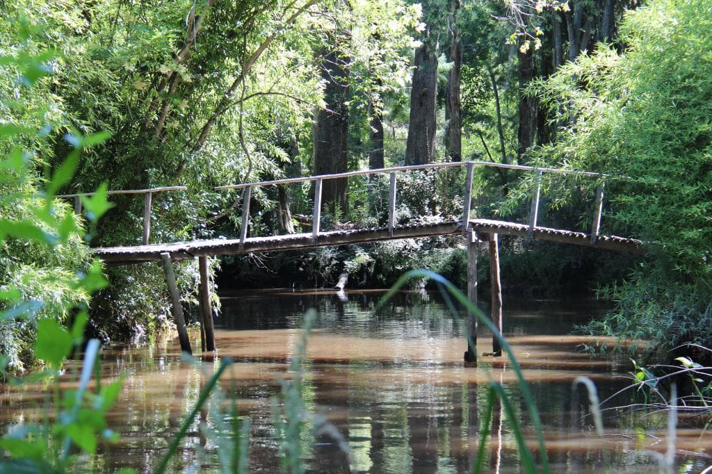 parte del paisaje del delta desde la reserva