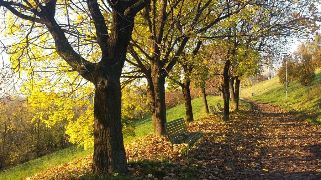 Monte Stella (Montagnetta), Milan