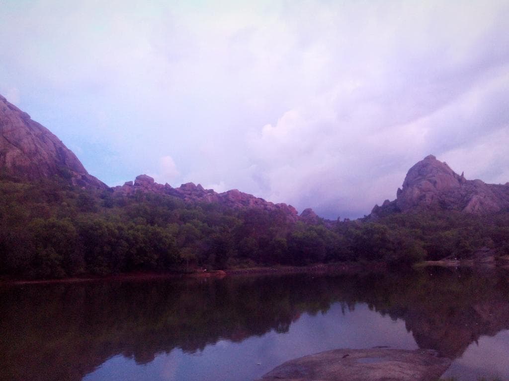 Ankali