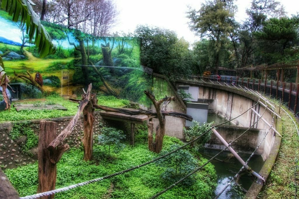 Hsinchu Zoo