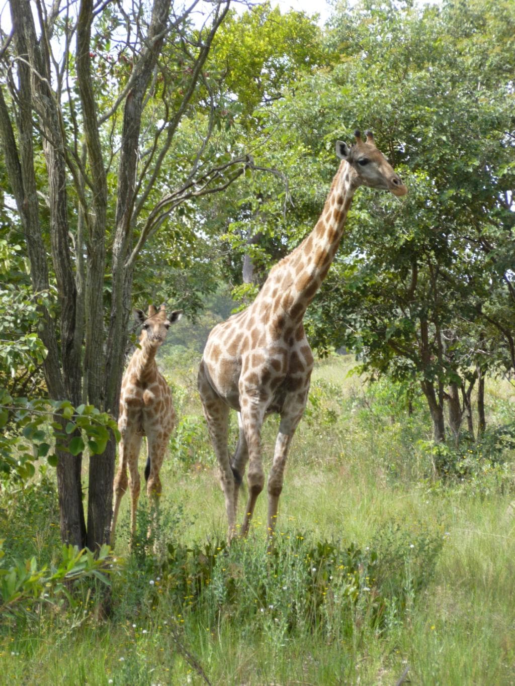 The little one seemed a little curious