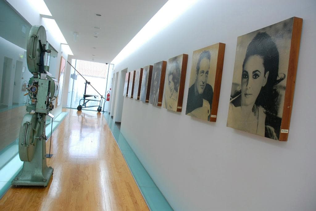 exposição mimo