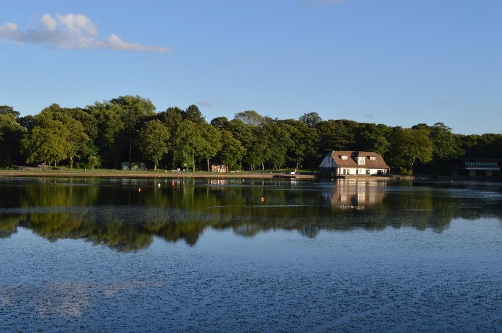 Taylor Park