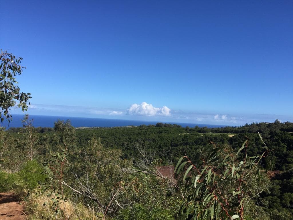 Nice morning 8 Mile round trip hike from Flemming Beach