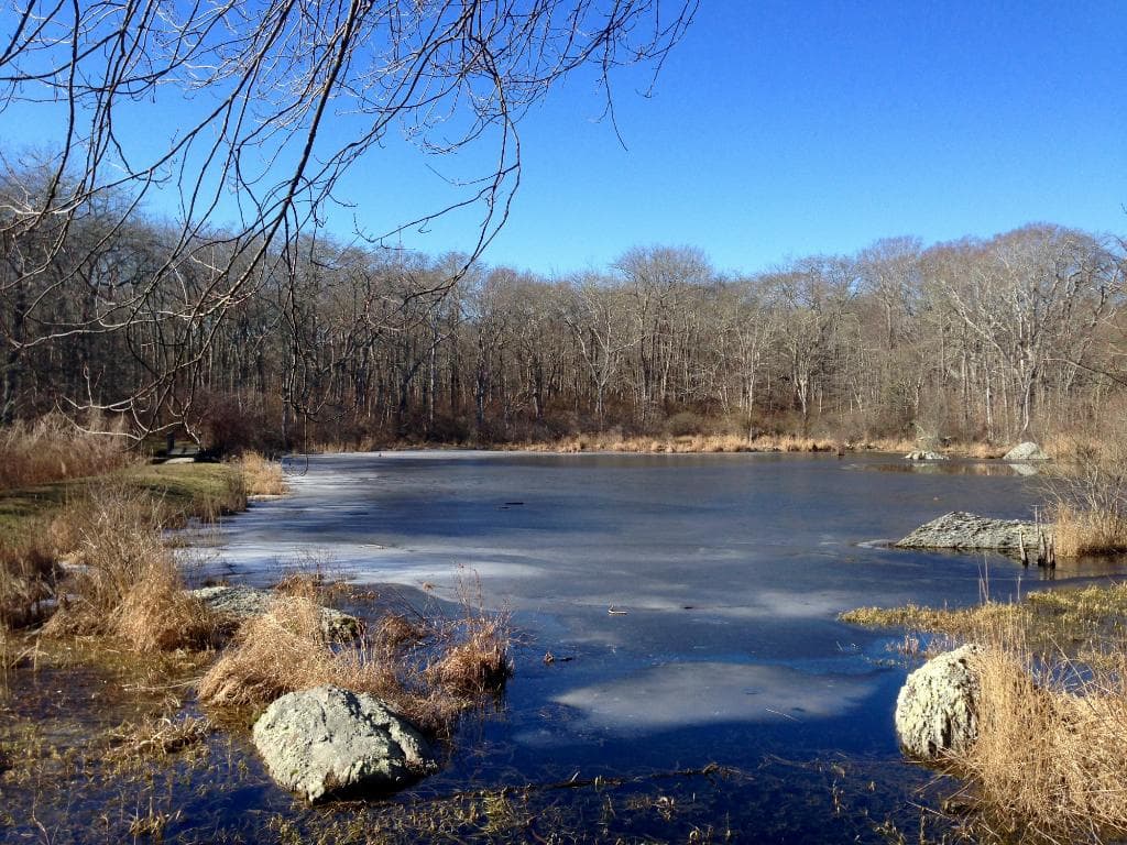 Norman Bird Sanctuary