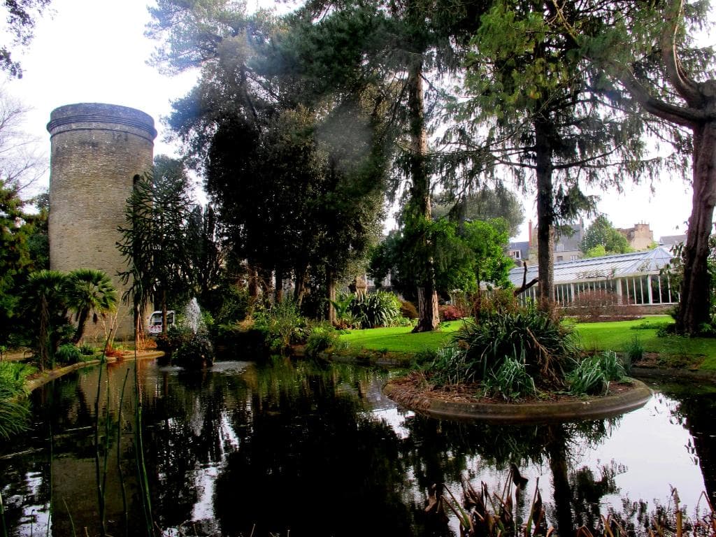 le plan d'eau du parc