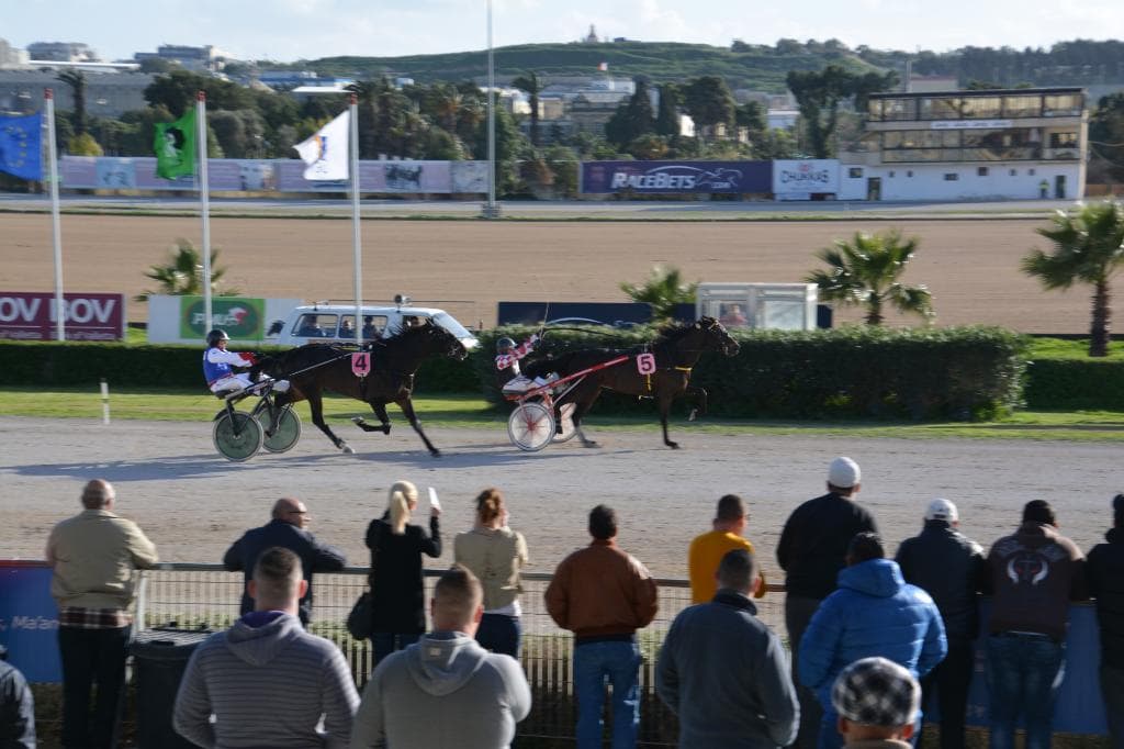 Great excitement at the races