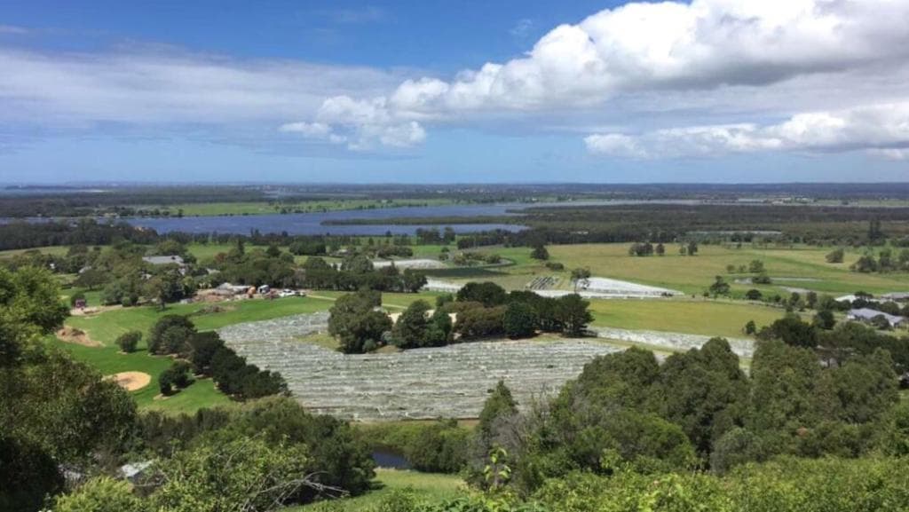 Such a beautiful day out!