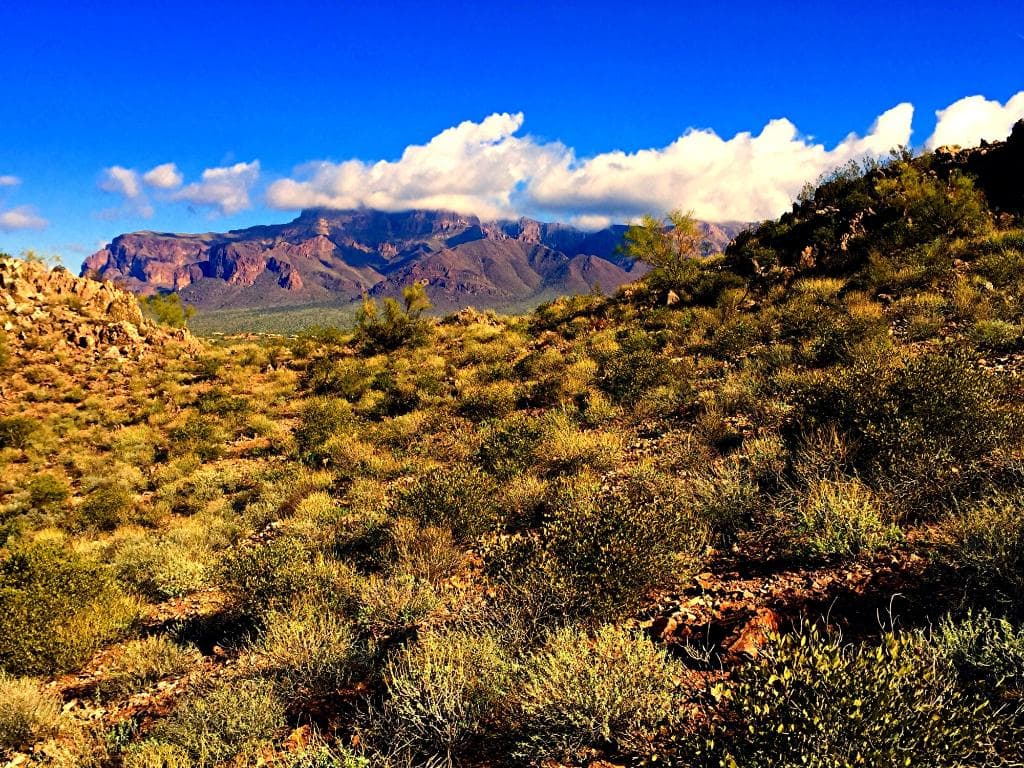 Magnificent views from the Old Baldy Trail, Silly Mtn.