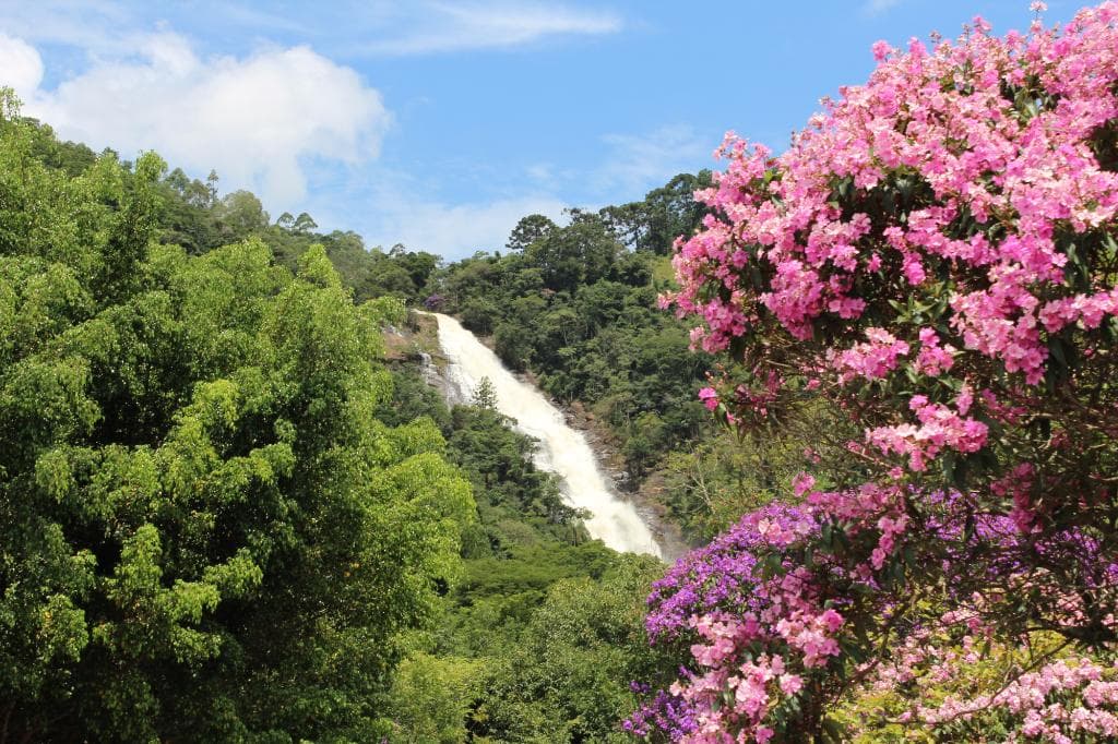 Cachoeira dos Pretos