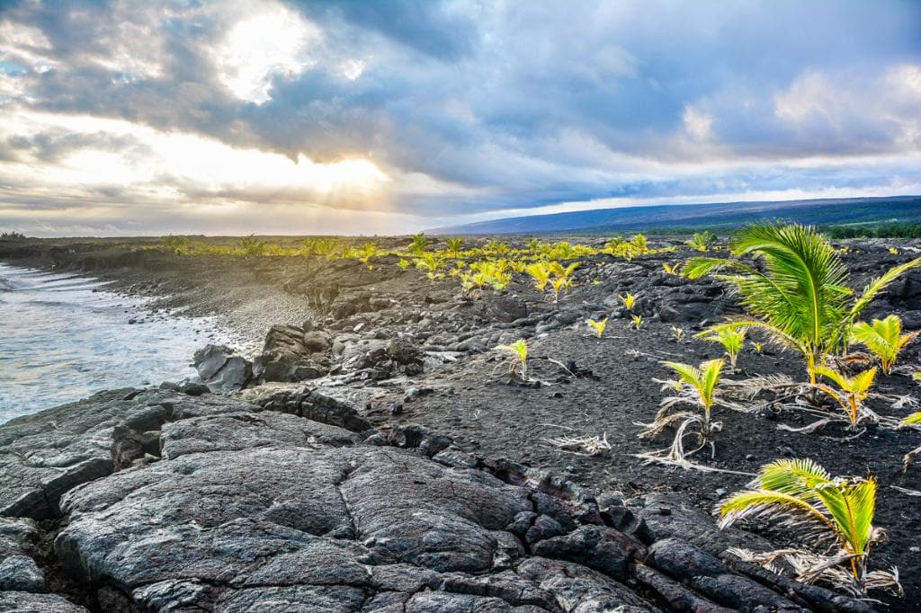 New land Pu'u 'O'o in background