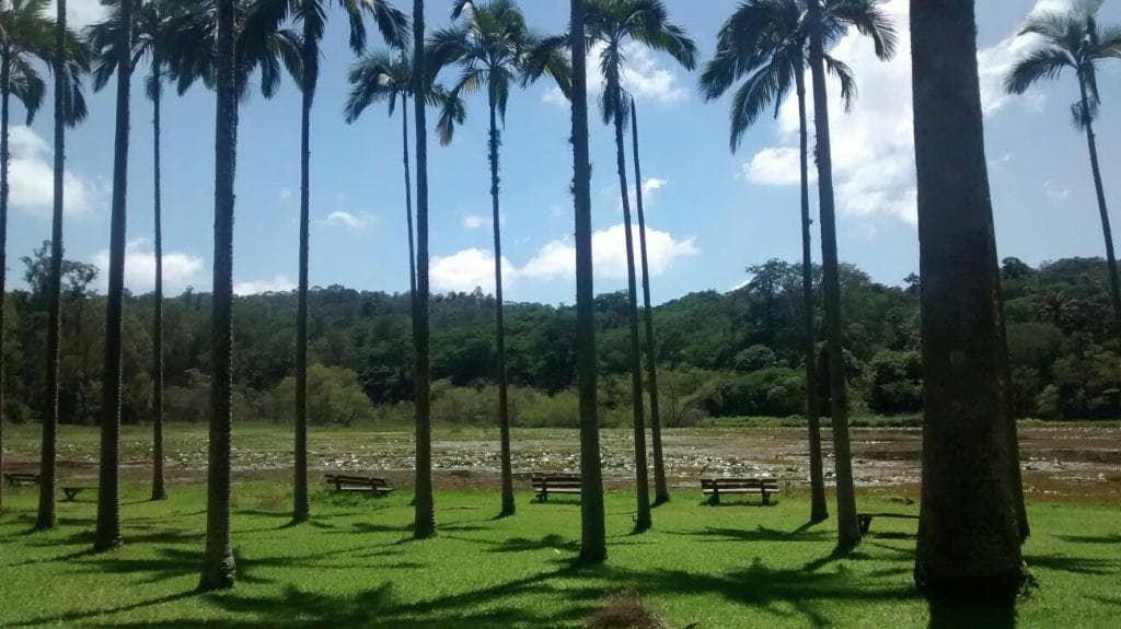 Lugar muito tranqüilo para um passeio romântico, um piquenique, porém os casarão estão um pouco 