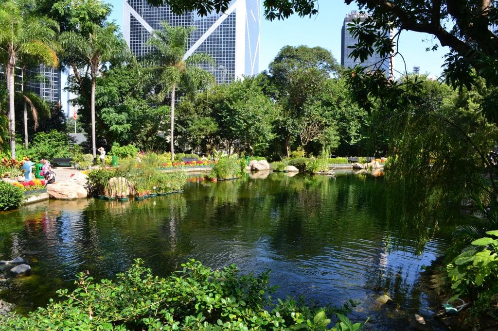 Oasis amongst the concrete jungle