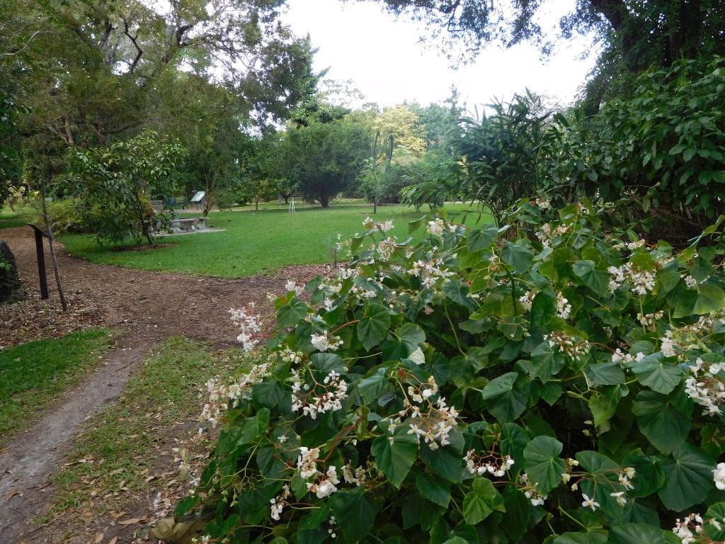 View in Arboretum