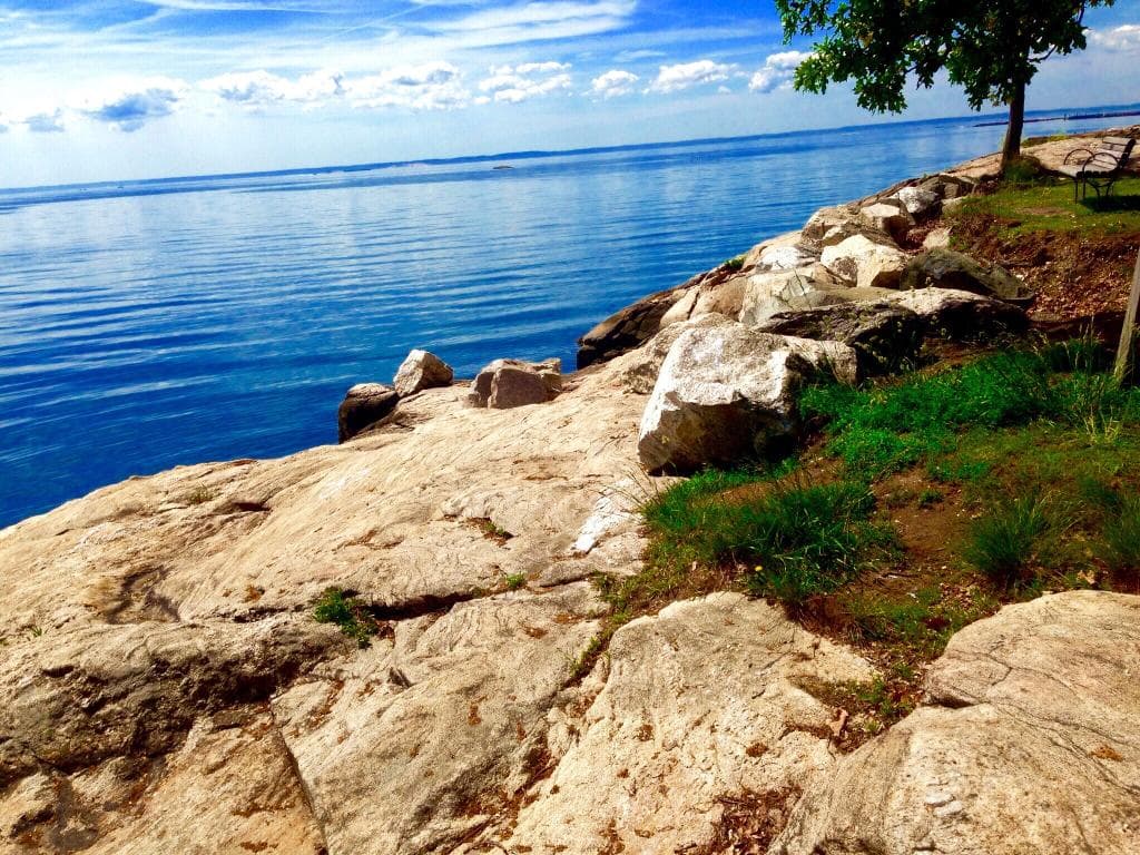 Cove Island Park